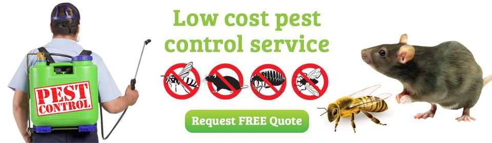 Pest Patrol Ottawa's Homepage