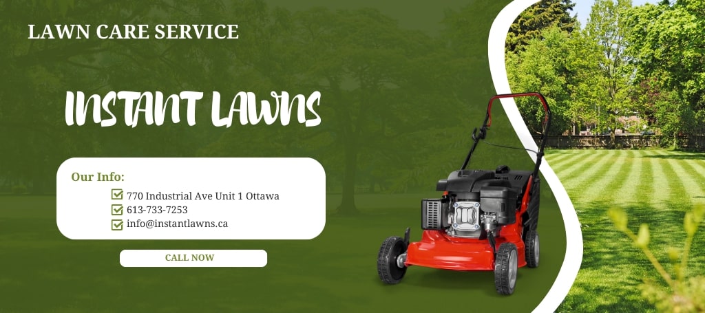 Instant Lawns