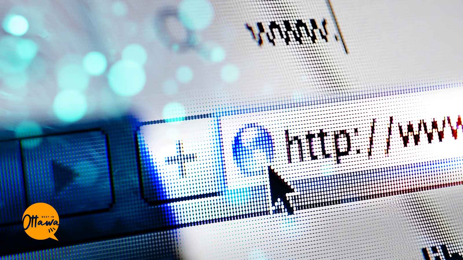 Best Web Hosting Companies in Ottawa