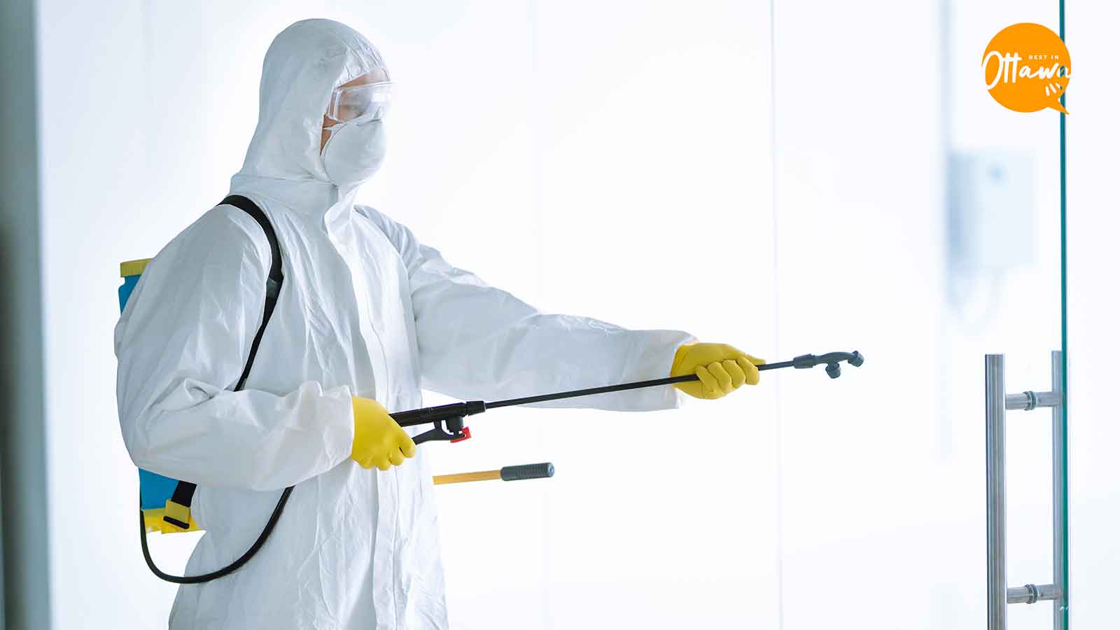Top 7 Office Cleaning Services in Ottawa