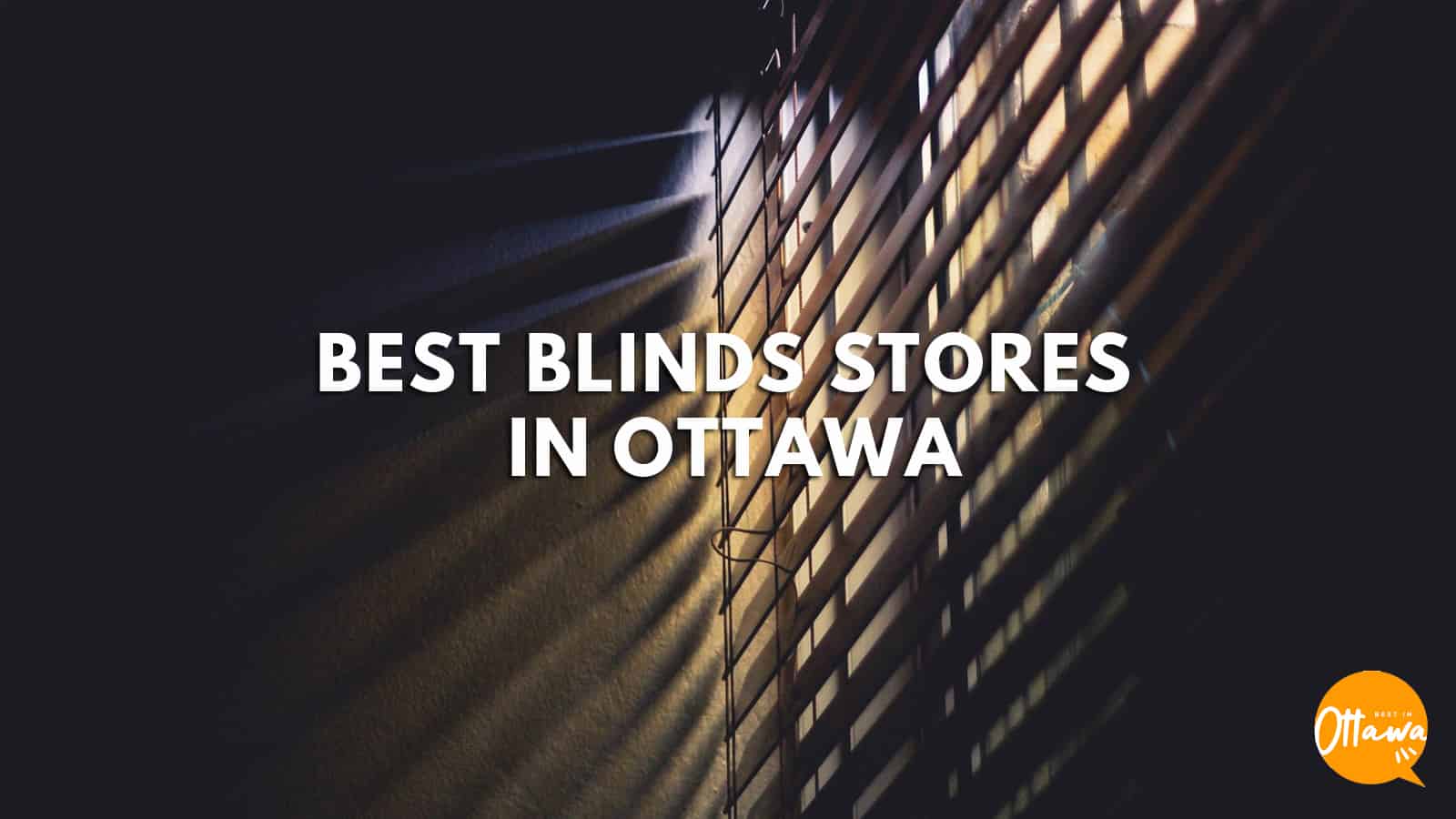 blindstogo ottawa