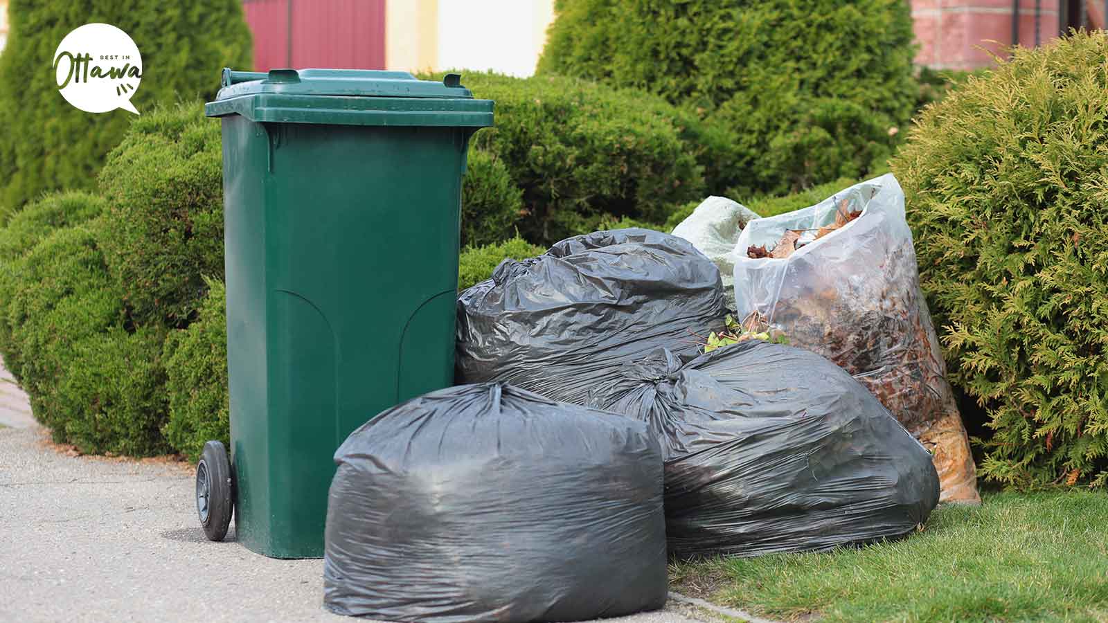 Best Waste Management Services in Ottawa