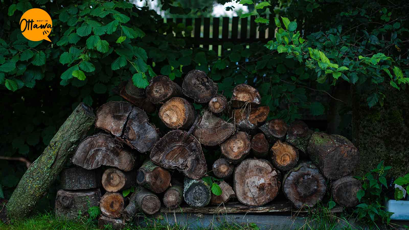 Best Firewood Suppliers in Ottawa