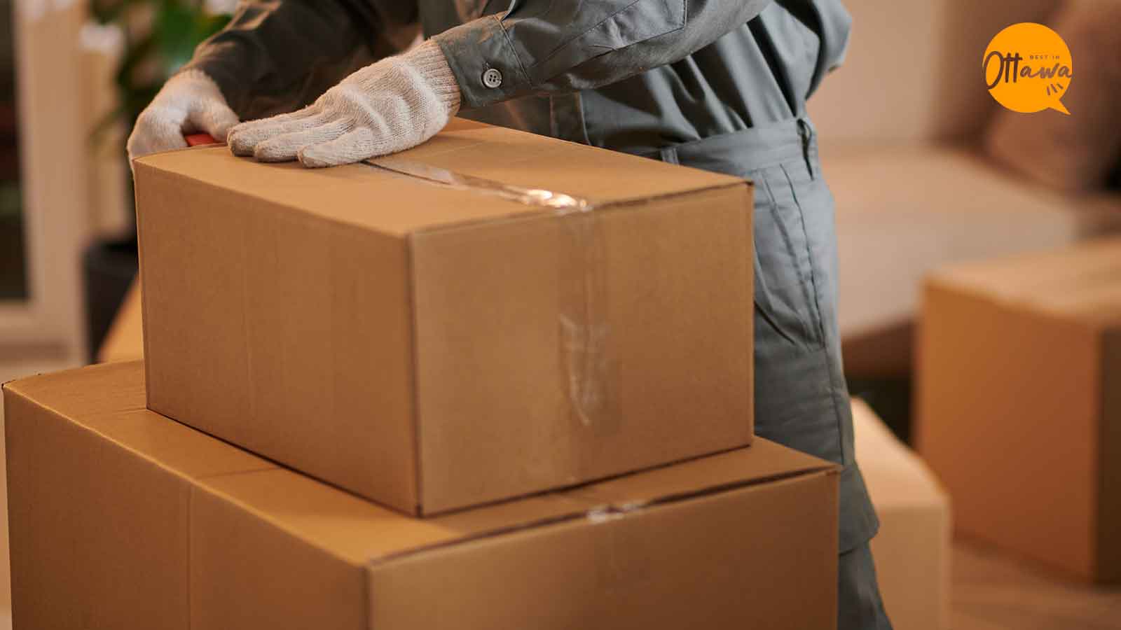 The Best Places to Buy Moving Boxes in 2024