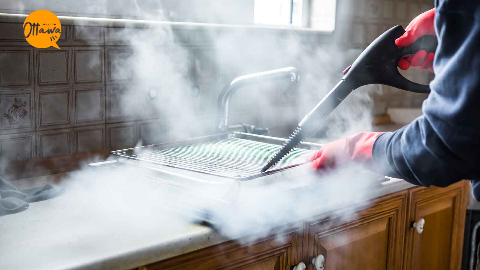 Common Household Pests and How To Deal With Them