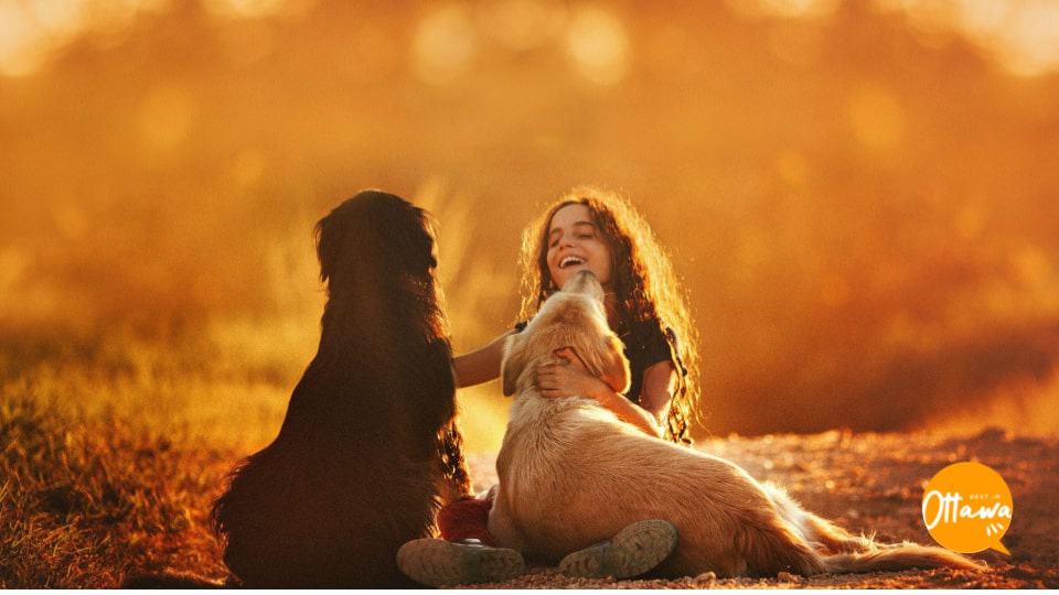 10. Should Dogs Be Kept Indoors or Outdoors