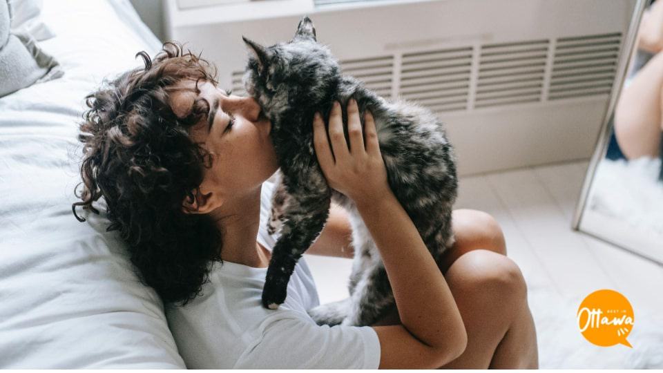 9. Rewarding Your Cat’s Good Behaviour