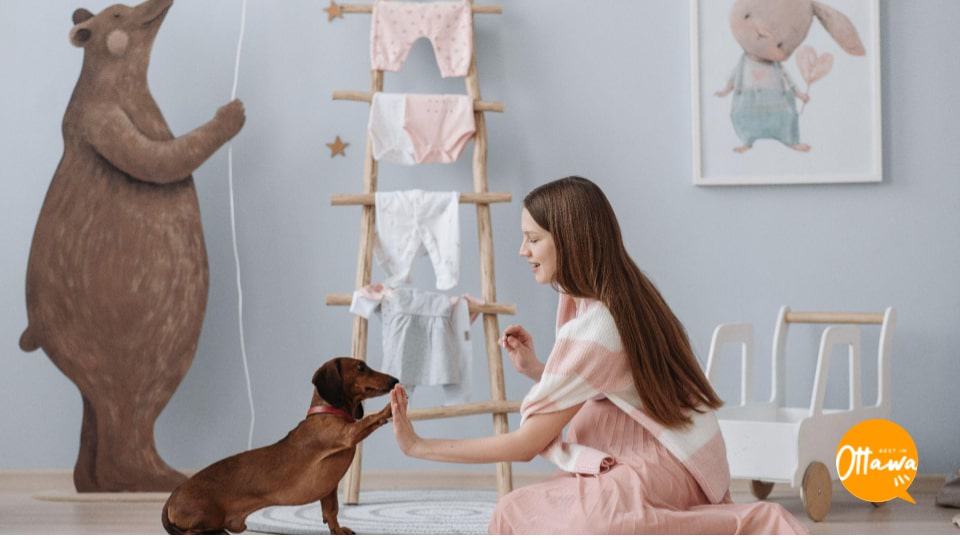 9. Rewarding Your Dog’s Good Behaviour