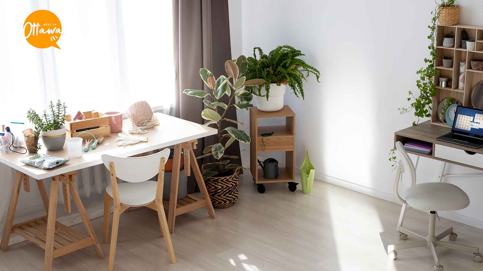 10 Easy Steps to Making Your Home Eco-Friendly