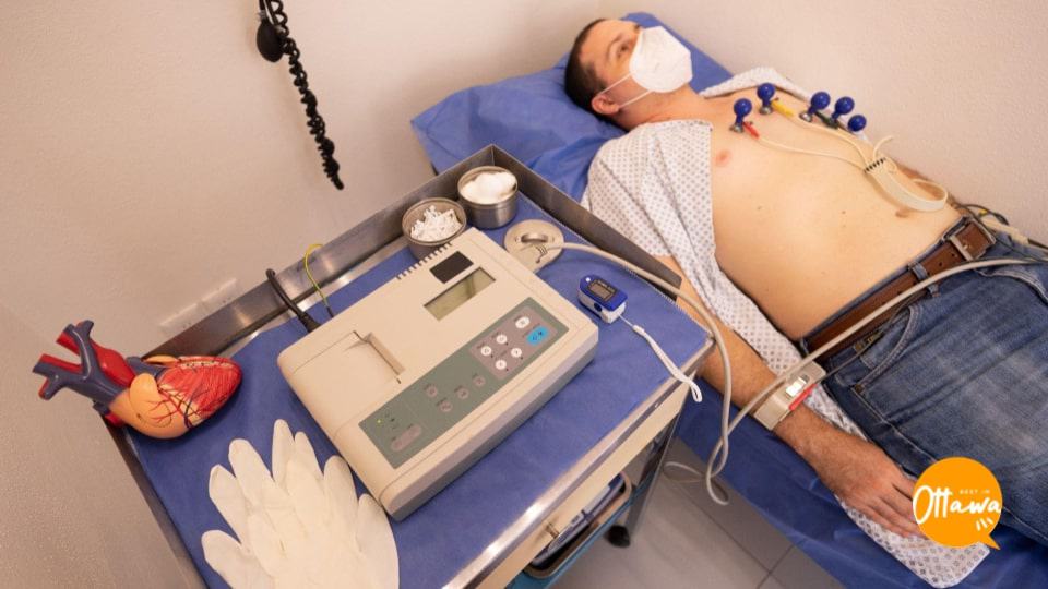 2. Cardiology