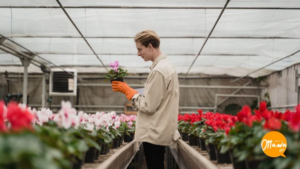 2. Decide What You Want to Plant and Grow