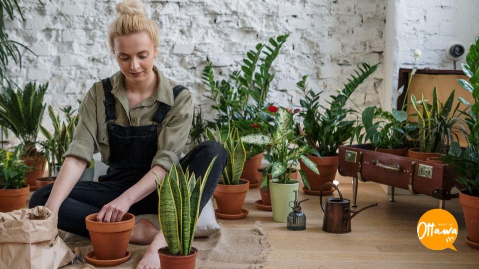 3. Choose the Best Location For Your Garden