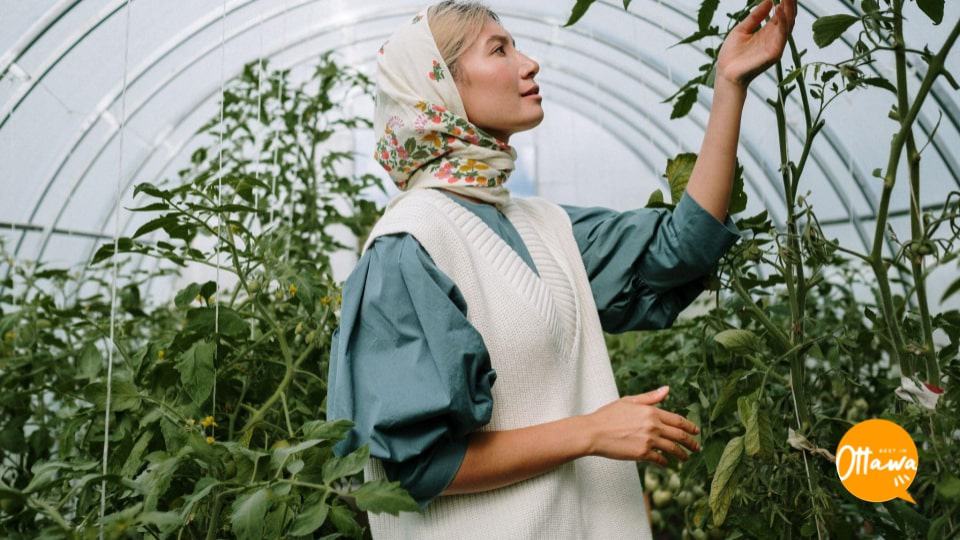 3. Grow Your Own Greens