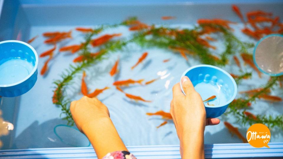 4. Maintain Good Water Quality