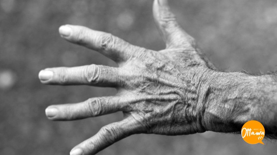 5. Geriatrics