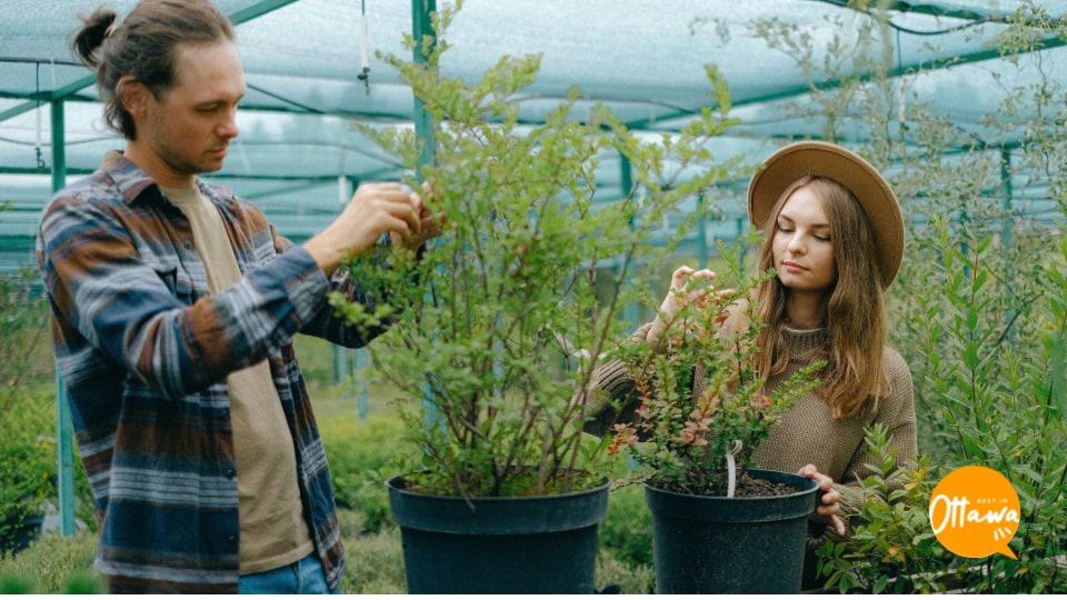 5. Grow Your Own Giveaways