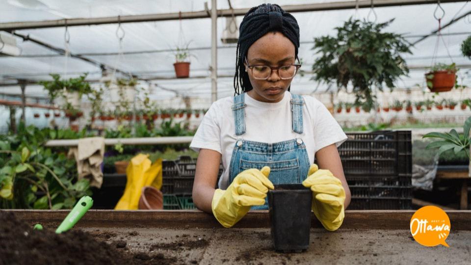 6. Plant and Nurture Your Home Garden