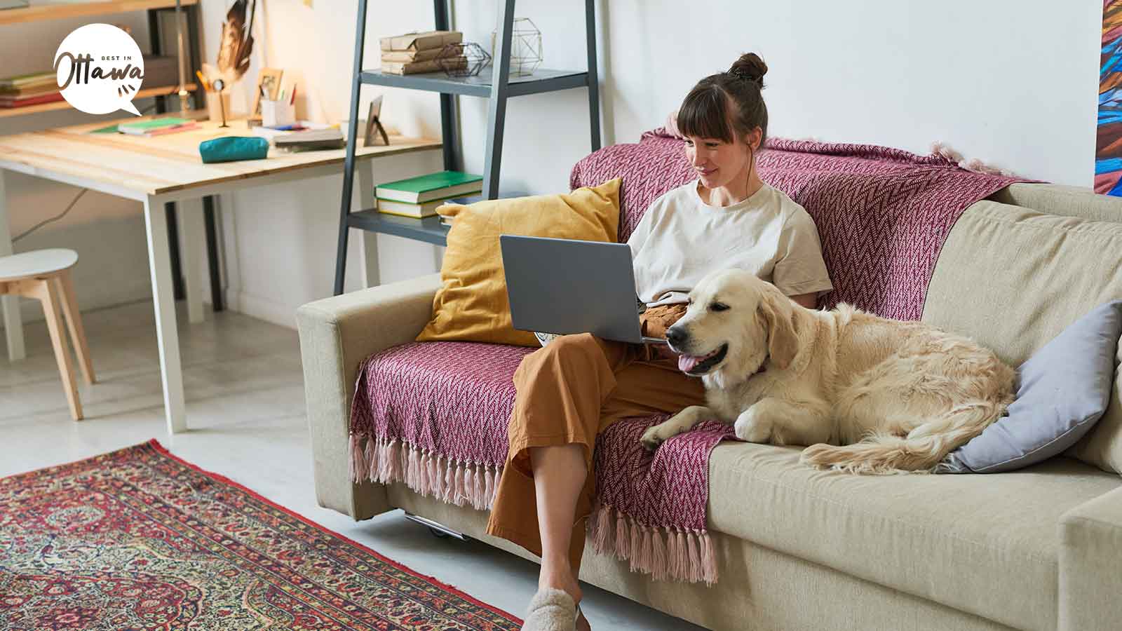 7 Ways to Dog-proof Your Home (And Keep Your Doggy Safe!)