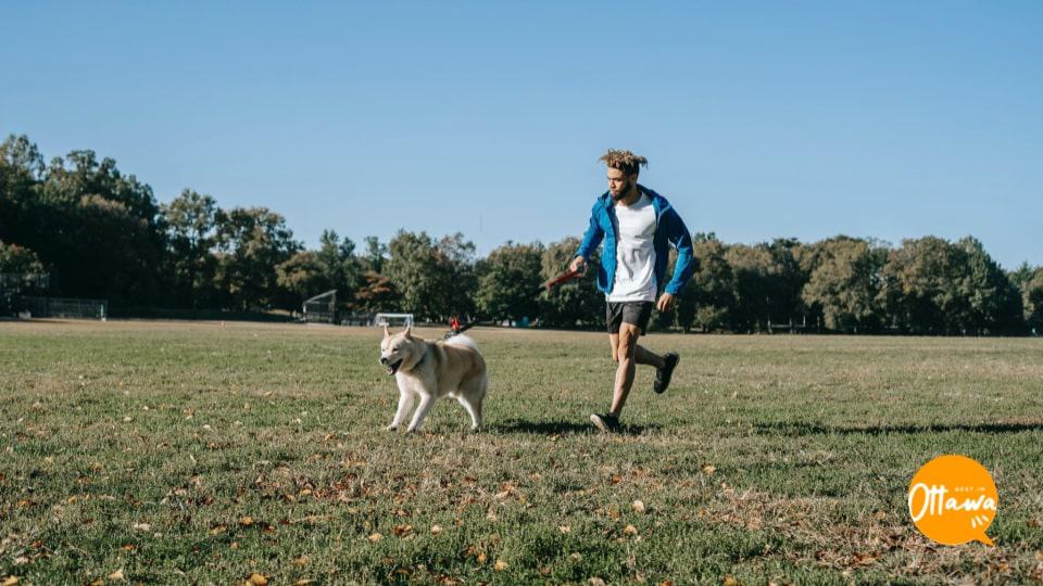 7. Crate and Leash-Train Your Dog Early