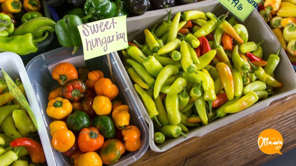 7. Shop Locally