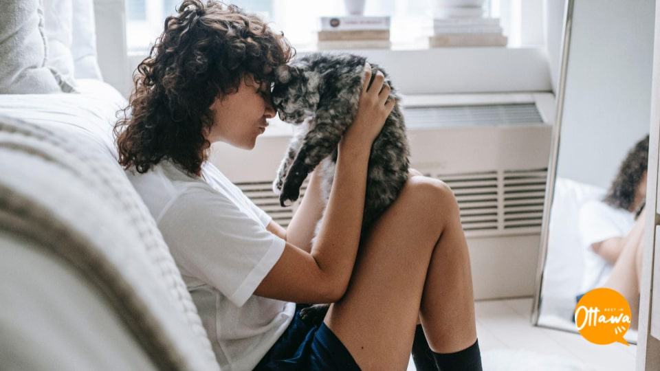 Keeping Your Cat Safe In Seven Simple Ways