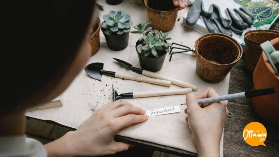 Quick Checklist of Home Garden Tools and Equipment