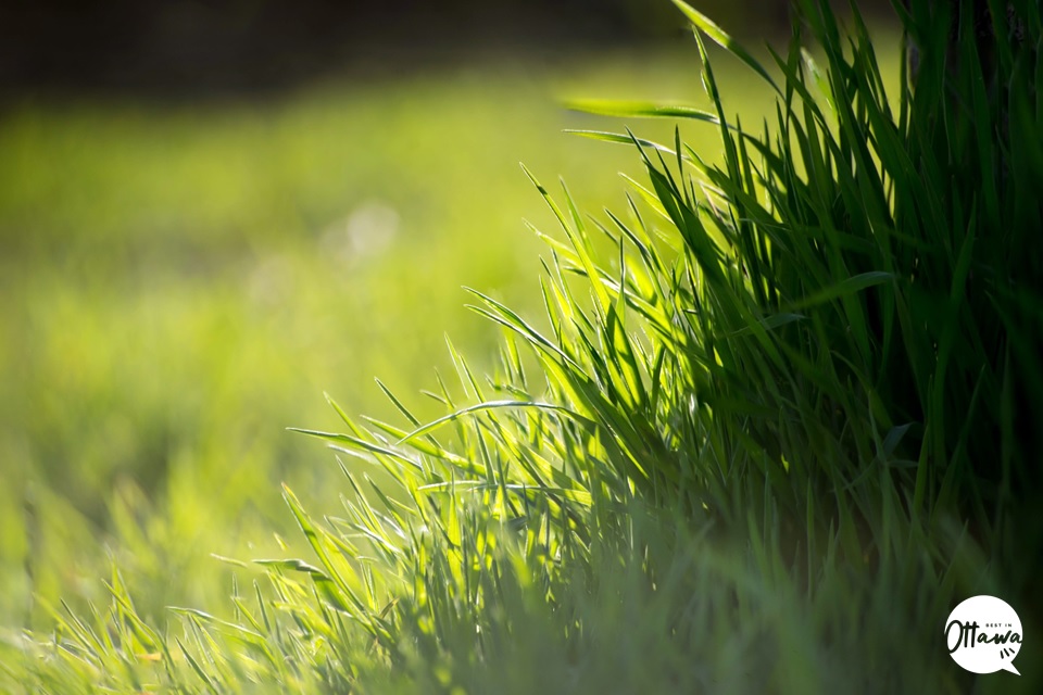 3. Improve Your Curb Appeal