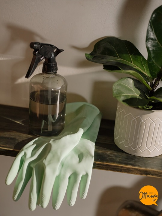 4. Keep Clutter and Dirt Away