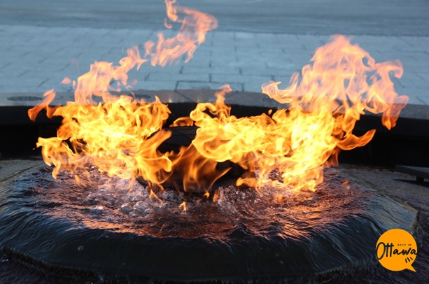 The 1916 Fire