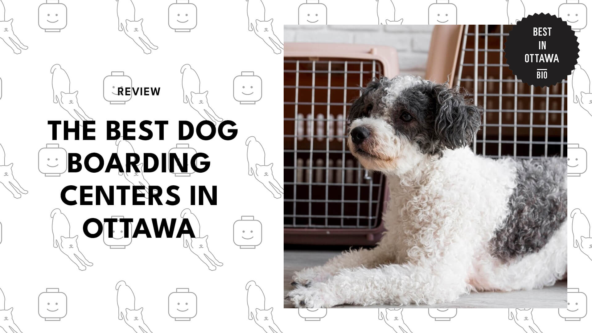 Best Dog Boarding Centers