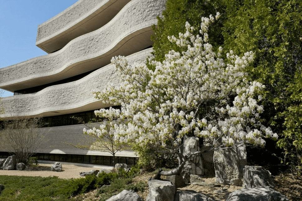 Japanese Zen Garden's homepage