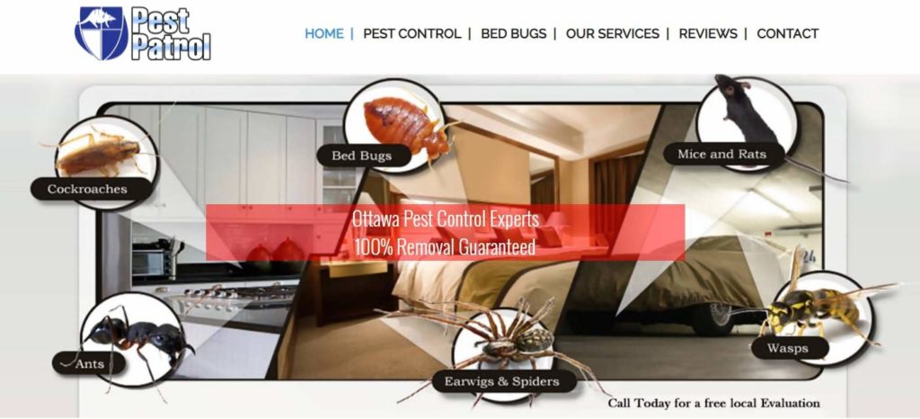 Pest Patrol's homepage