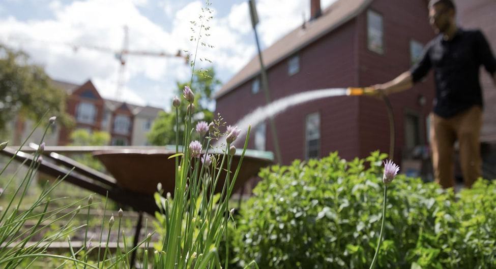 University of Ottawa Gardens homepage