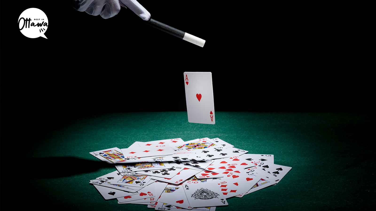 Best Magicians in Ottawa