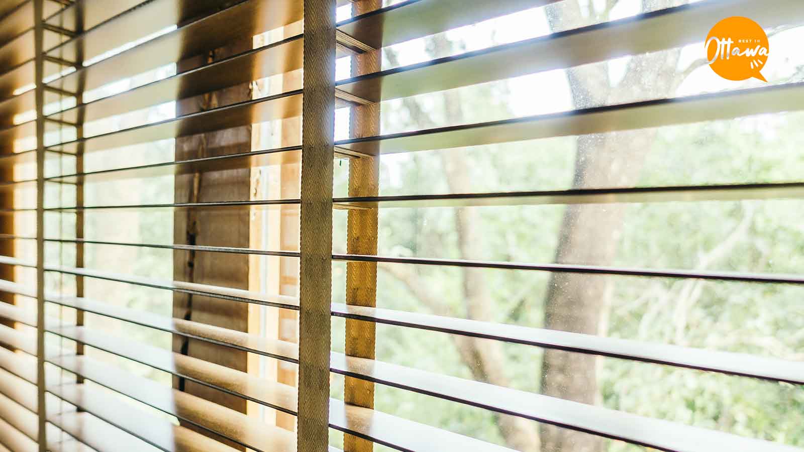 Best Window Treatment Services in Ottawa