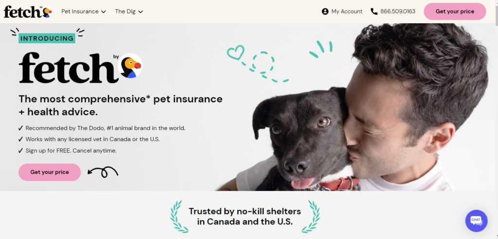Fetch Pet Insurance Homepage