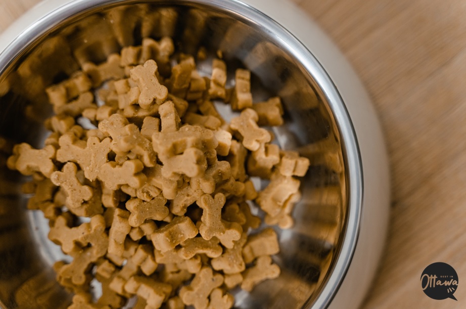 Keep Your Pet Healthy
