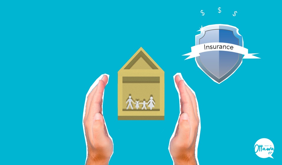 Know the Two Basic Types of Life Insurance
