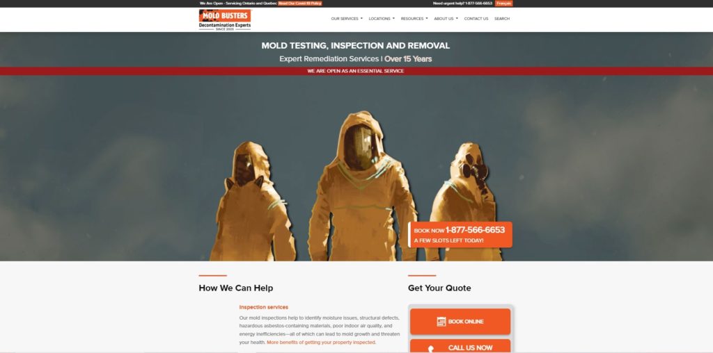 Mold Busters Ottawa Homepage