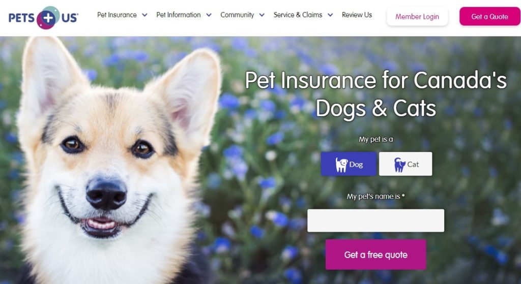 Pets + Us Homepage