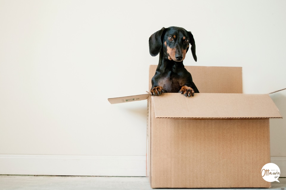 Plan your move