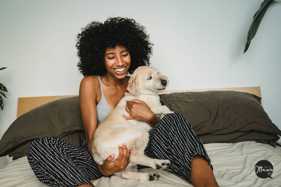 Play with your furry buddy