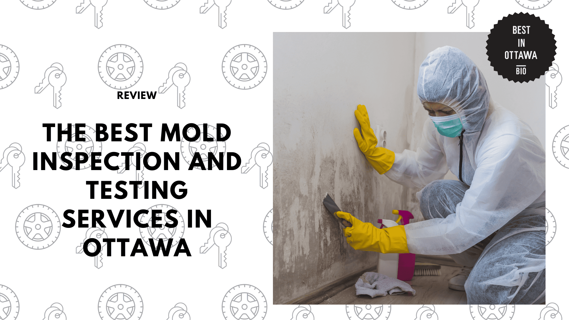 The Best Mold Inspection and Testing Services in Ottawa