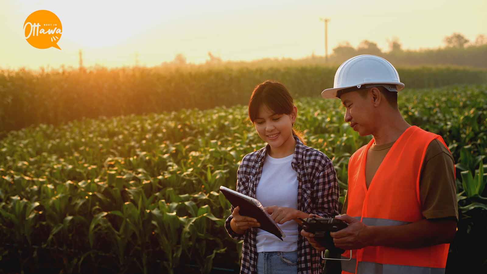Top Environmental Consulting in Ottawa