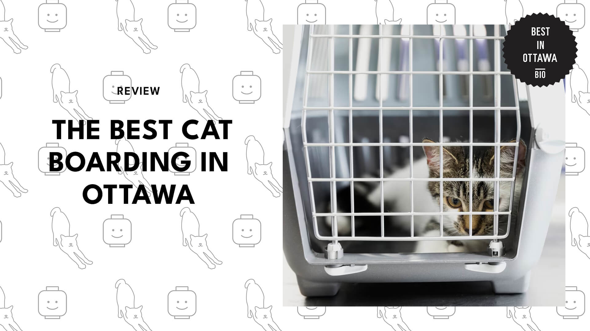 Best Cat Boarding