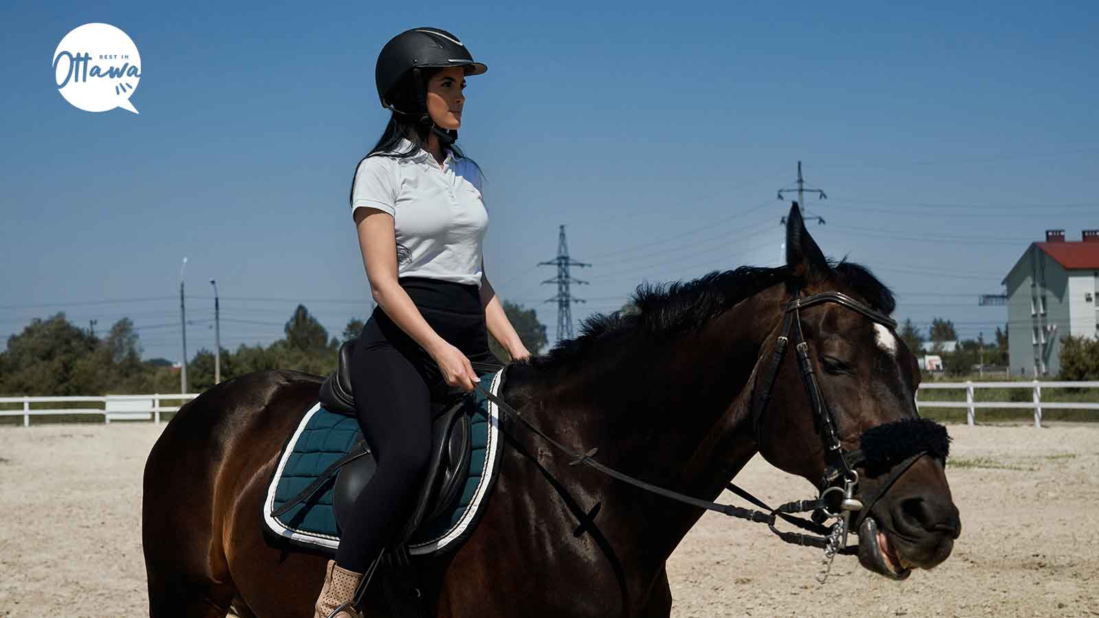 Best Horse Riding Lessons in Ottawa