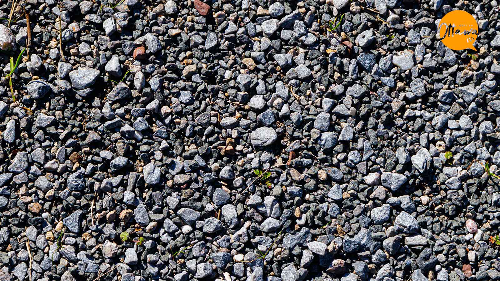 Best Pea Gravel Suppliers in Ottawa