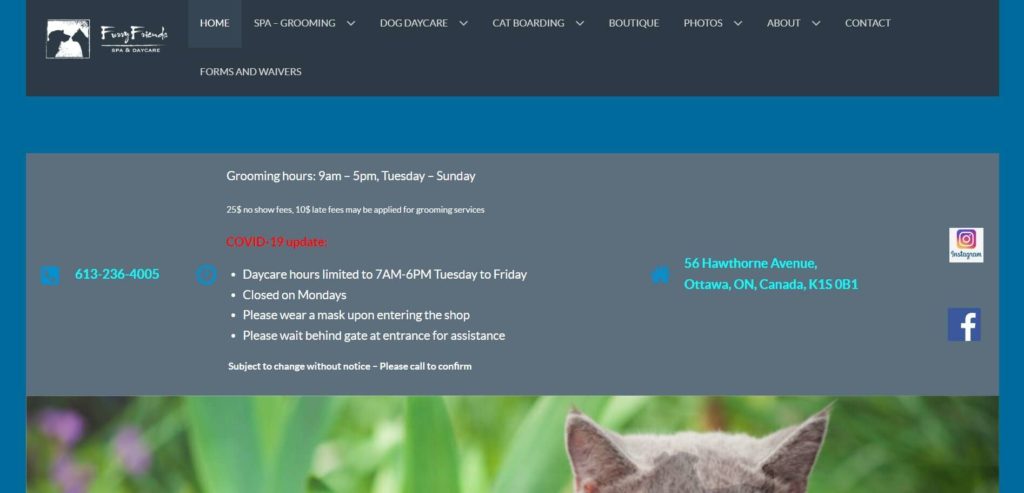 Furry Friends Spa and Daycare Homepage