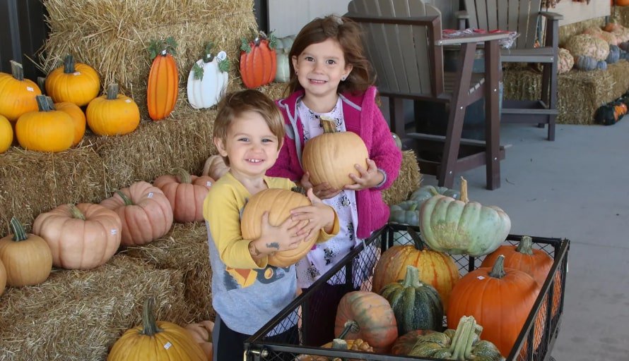 From Pumpkins to Corn Mazes This Fall