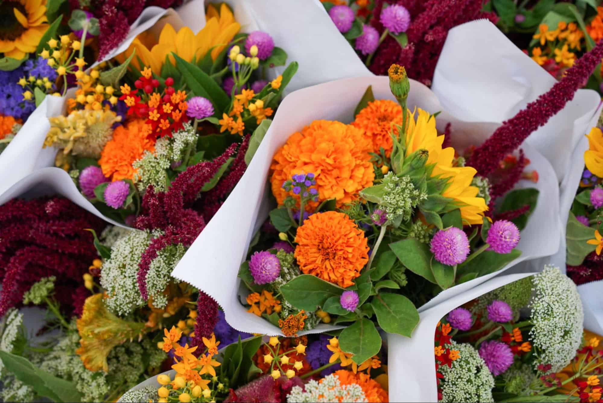 Parkdale’s Flower Market Opens on October 8